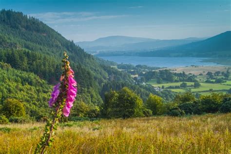 Bassenthwaite Lake, Lake District Travel Guide | Bassenthwaite lake ...