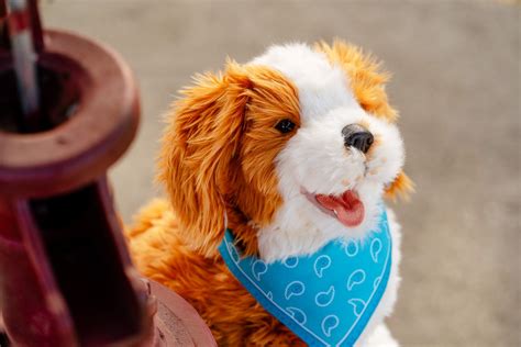 Michigan agencies distribute robotic pets to help elders combat ...