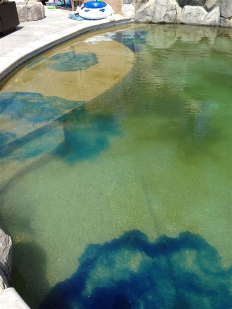 Wine Country Pools And Supplies: Swimming Pool Algae Removal