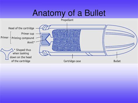 Diagram Parts Of A Bullet