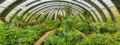 Butterfly garden in Monteverde, Costa Rica | Selvatura Park