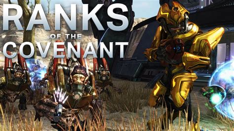 Ranks of the Covenant – Every Known Covenant Rank | Halo Lore - YouTube