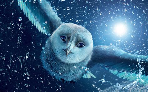 legend of the guardians the owls-Cartoon animation film Selected Wallpaper Preview | 10wallpaper.com