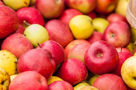 Freshly harvested colorful crimson crisp apples on display… | Flickr