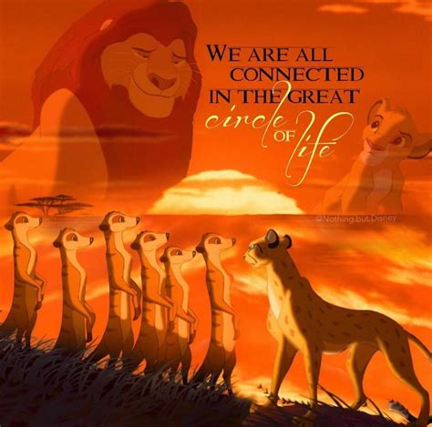 Pin by Boese Ladies on Quotes | Lion king pictures, Lion king art, Disney lion king