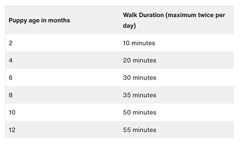 The Best Walking Schedule for My Puppy - Zigzag