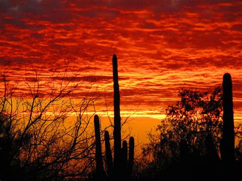 Sonoran Desert Sunset #2 Photograph by John Diebolt - Fine Art America