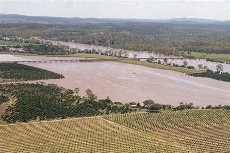 Citrus Orchard ... 29th Jan 2013 | Looking southwest ... flo… | Flickr