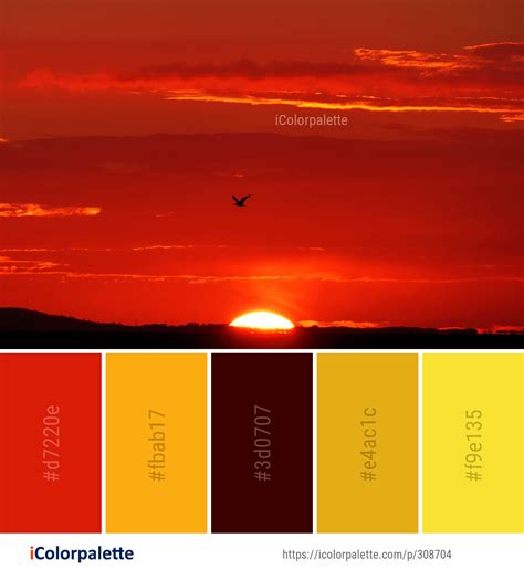 Sunrise Sunset Colors In Order : 12 Beach Sunset Color Palettes With Hex Codes Logo Inspiration ...