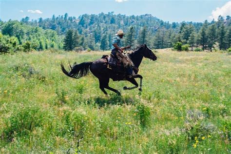 CHEROKEE PARK RANCH - Reviews (Livermore, Colorado) - Tripadvisor