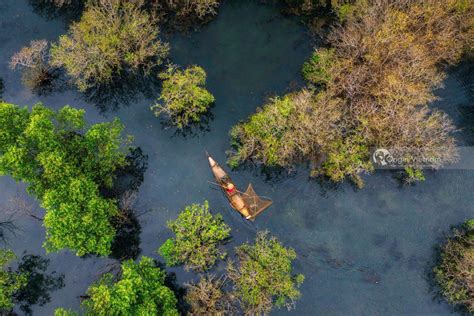 The Beauty Of Ru Cha Mangrove Forest In Stunning Photos | ORIGIN VIETNAM PHOTOS