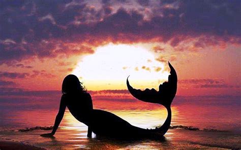 Mermaid Silhouette - Mermaids Photo (39916269) - Fanpop