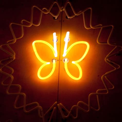 Butterfly | Neon signs, Neon, Colours