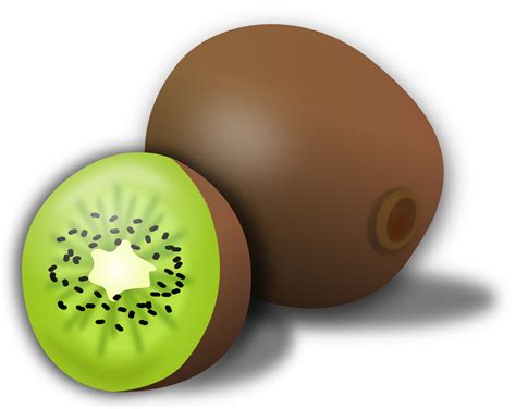 Kiwi clipart cartoon, Kiwi cartoon Transparent FREE for download on ...