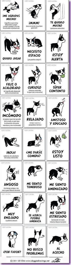 lenguaje corporal de un perro: | Perros, Perros mascotas, Lenguaje de ...