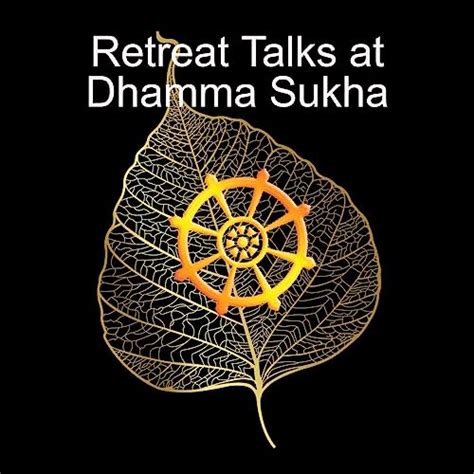 Amazon.com: Retreat Talks at Dhamma Sukha : Dhamma Sukha Meditation Center: Audible Books ...