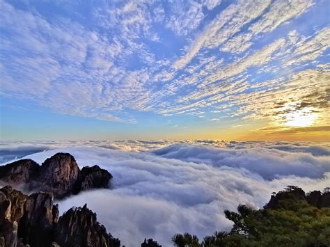 大美黄山云海仙境 - 花粉随手拍风光 花粉俱乐部