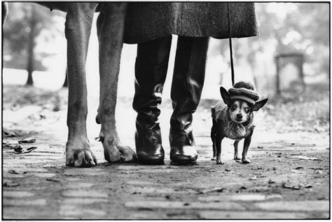 Elliott Erwitt: Dogs