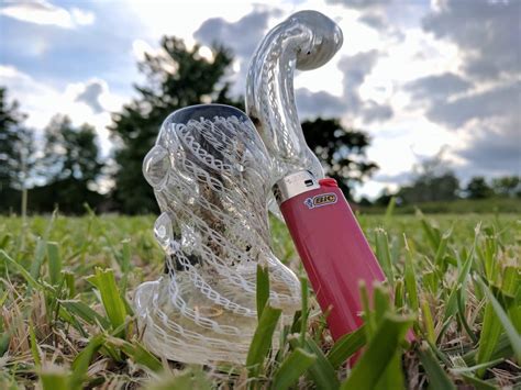 Pixel XL camera is amazing : r/trees