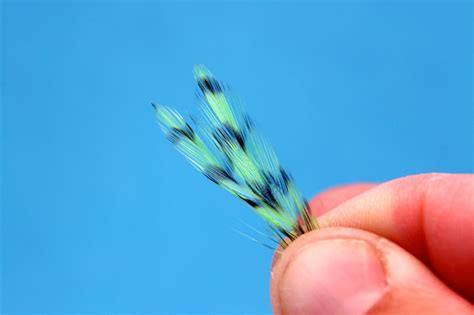 Feathers - Fly Tying Tips, Tricks & Common Mistakes Fly Tying Recipes ...