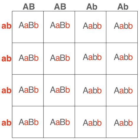 1.10: Practice - Punnett squares and probability - Biology LibreTexts