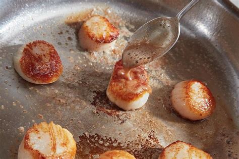 Tom Colicchio's Genius Pan-Roasted Scallops | Recipes, Scallop recipes, Seafood dishes