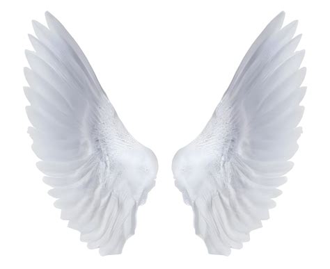 Download White Angel Wings Png Angel Vector Png Image With No ...