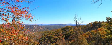 White Rock Mountain Rim Trail (Ozark Forest) Fall 2014 Pics | Arklahoma ...