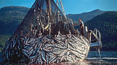 Gigantic Fishing Nets | HOW IT'S MADE - YouTube