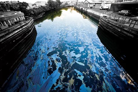 A Brief History of the Gowanus Canal -- New York Magazine - Nymag