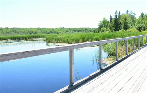 Beaver River Wetland Trail – York Durham Headwaters