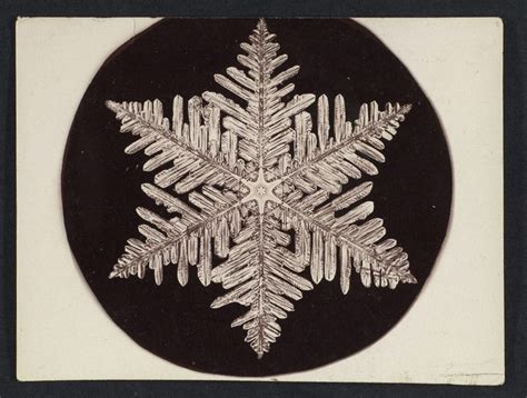 The Microphotographic Wonders of Vermont’s 'Snowflake Man' - Atlas Obscura