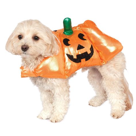 Pup-O-Lantern Halloween Dog Costume | BaxterBoo