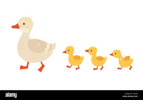 Mother duck and ducklings. Cute baby ducks walking in row. Cartoon ...