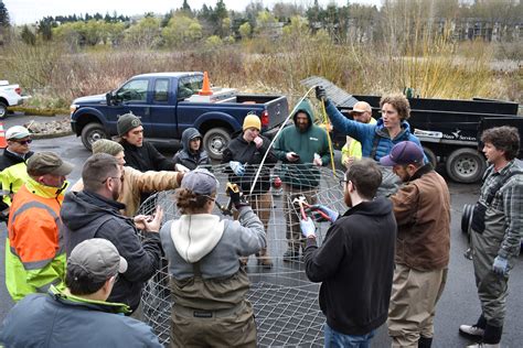 Gallery — Beaver State Wildlife Solutions