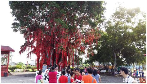 The Sekinchan Wishing Tree & Redang Beach – Eris Goes To