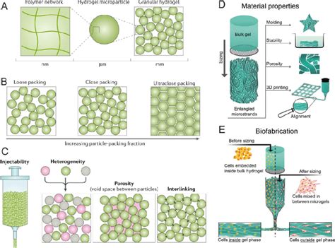 Schematics illustrating the structure and properties of granular... | Download Scientific Diagram