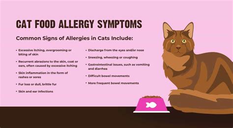 Food Allergies in Cats: Common Symptoms & How to Treat Them