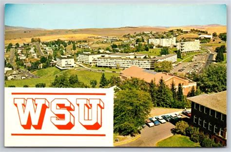 PULLMAN~LARGE LETTER WSU~WASHINGTON State University Campus Birdseye ...