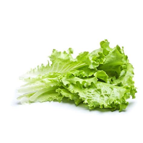 Lettuce, Parris Island Romaine Seed Packets | Bentley Seeds