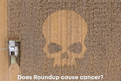 What is Roundup (Glyphosate): Ingredients, Use, and Side Effects ...