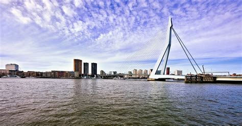 Erasmus bridge Free Photo Download | FreeImages