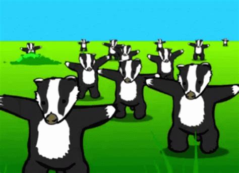 Badger GIF - Badger - Discover & Share GIFs