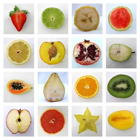 the TYPOLOGIST : collector of collections - Fruit typology. Photography by Natalie Thomsen.