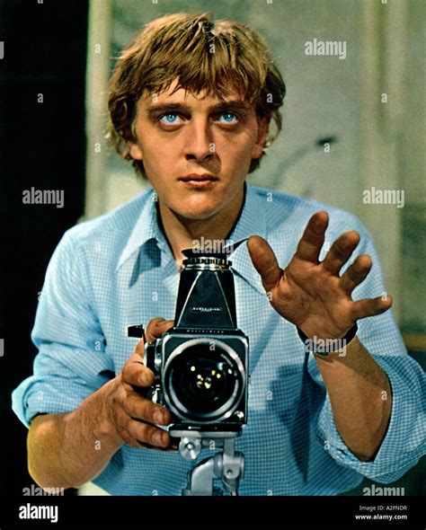 BLOW-UP 1969 MGM film with David Hemmings Stock Photo - Alamy