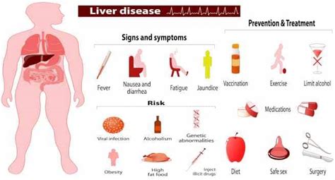 Liver disease - Health Tips, Liver disease Health Articles, Health News | TheHealthSite.com