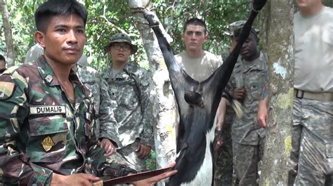 Philippines and US Marines in Jungle Survival | THEPHDEFENSE