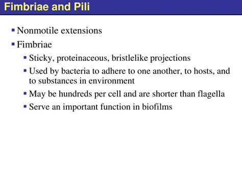 PPT - Cell structure and function Chapter 3 PowerPoint Presentation, free download - ID:1040730