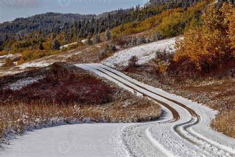 Cypress Hills First Snowfall 5182075 Stock Photo at Vecteezy