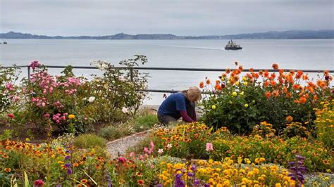 Alcatraz Garden (U.S. National Park Service)